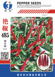 科光種苗“艷椒485”辣椒、“秋實(shí)1號(hào)”甘藍(lán)分別入選2025年農(nóng)業(yè)主導(dǎo)品種、農(nóng)作物優(yōu)良品種推廣目錄